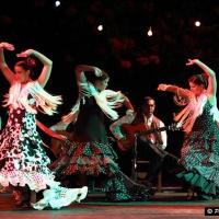 La Rosa Brings EN AL FLAMENCO TABLAO to Artscape Theatre, Now thru Feb 23