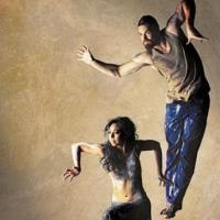 Bangarra Dance Theatre to Present PATYEGARANG, 6/13-9/6 Video