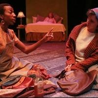 BWW Reviews: Forum Theatre Launches 'Forum for All' with Poetic AGNES UNDER THE BIG T Video