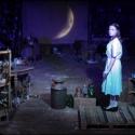 Mary-Arrchie Theatre's THE GLASS MENAGERIE to Move to Theater Wit, 5/22-6/30 Video