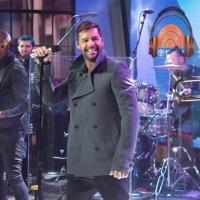 VIDEO: Ricky Martin Performs New Single 'Adios','Vida Loca' & More on TODAY