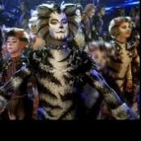 Spotlight on CATS, Coming to Toronto May 28 Video