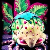 BWW Reviews: Zilker Theatre's LITTLE SHOP OF HORRORS is Big on Entertainment