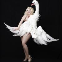 Dirty Martini Joins FILTHY GORGEOUS BURLESQUE Valentine's Show Video
