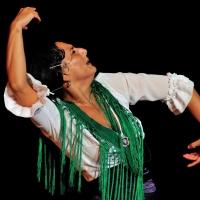 La Lupi to Headline Toronto Flamenco Festival, 10/13-20 Video