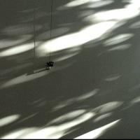 Stephen Vitiello's LIGHT READINGS Set for Baryshnikov Arts Center, 12/8-18 Video