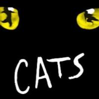 CATS Comes to King's Theatre Glasgow, Sept 16-28 Video