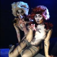 BroadHollow Theatre Company Presents CATS, Now thru 7/27