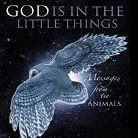New Book 'God Is In the Little Things' is Released Video