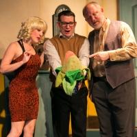 BWW Reviews: MJR Theatricals | Music Box Musicals' LITTLE SHOP OF HORRORS is Spirited Video