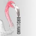 Fulcrum Theater Presents BIRD IN THE HAND at Theater for the New City, 9/5-23 Video