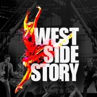 BWW Reviews: WEST SIDE STORY, Bristol Hippodrome, January 29 2014 Video