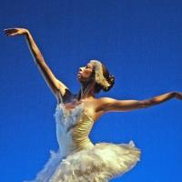 San Diego Ballet Announces 2013/14 Season Opening of PRELUDES AND POETRY/ CARNIVAL OF Video