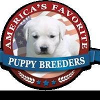America's Favorite Puppy Breeders Revolutionize The Puppy Breeder Industry By Opening Video
