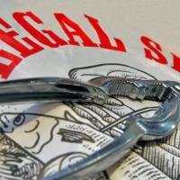 Legal Sea Foods Introduces Smart Promotion To Complement 'Fish is Brain Food' Ad Camp