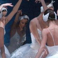SWAN LAKE Coming to the Maj, July 31- August 4