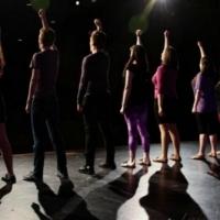 SEIZE THE STAGE: A Musical Revue Benefit for Epilepsy Set for Wilmette Recreation Ton Video