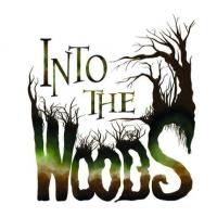 INTO THE WOODS Opens Tonight at CASA Video