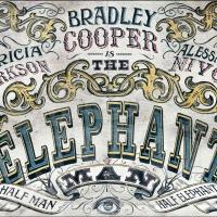 Company of 12 Joins Bradley Cooper & Patricia Clarkson in Broadway-Bound THE…