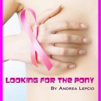 LOOKING FOR THE PONY Opens at Off The Wall Productions Tonight Video