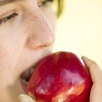 Young People's Teen Musical Theatre Company Presents THE APPLE TREE, Now thru 8/3