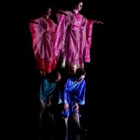 BWW Reviews: ALISON CHASE PERFORMANCE, Defying Physics Video