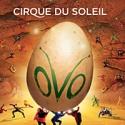 BWW Reviews: Cirque Du Soleil's OVO