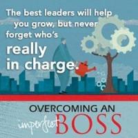 New Interactive Book OVERCOMING AN IMPERFECT BOSS is Released Video