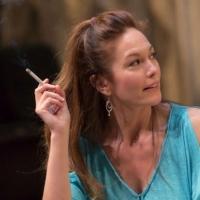 Photo Flash: First Look at Diane Lane, Tony Shalhoub & More in LCT's THE MYSTERY OF L Video