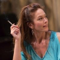 Photo Flash: First Look at Diane Lane, Tony Shalhoub & More in LCT's THE MYSTERY OF…