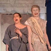 BWW Reviews: Funny Things Happen in A FUNNY THING HAPPENED ON THE WAY TO THE FORUM at Bayou City Theatrics