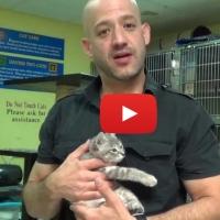 VIDEO: One Picture Saves a Life Workshops Make Shelter Pets Into Photo Stars Video