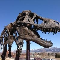 The Smithsonian Welcomes THE NATION'S T. REX to D.C. and Launches Largest Renovation  Video