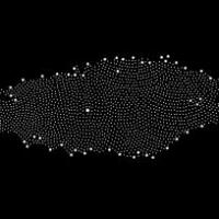 The Mori Art Museum Presents MAM PROJECT 021: MELVIN MOTI, 5/31-8/31 Video