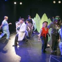 Photo Flash: First Look at The Brown Paper Box Co.'s A NEW BRAIN