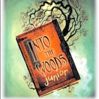 Registration Open for INTO THE WOODS JR With WHBPAC's Teen Theatre Project Video