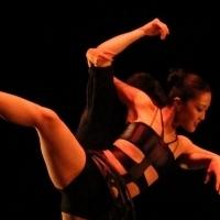 BWW Reviews: ITE FESTIVAL Serves up a little Darkness at the Shetler Studios Video