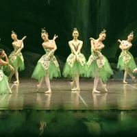 Shanghai Ballet to Perform at Harris Center/Three Stages, 10/31 Video