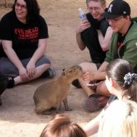 Photo Flash: Cast of EVIL DEAD THE MUSICAL Plays with Animals at Private Moapa Sanctu Video