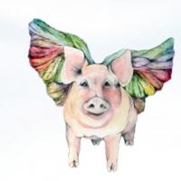 Pigs Do Fly to Present 'FIFTY PLUS' at Empire Stage, 5/1-11 Video