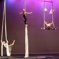 Luminario Ballet Performs 'LedZAerial' Pieces at 2013 Miami Dance Festival Today Video
