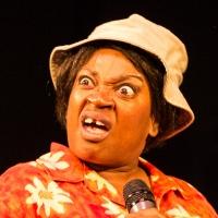 BWW Reviews: HELLO DARLIN'S at Langston Hughes Remembers a Comedy Pioneer Video