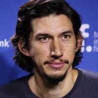 BWW Profiles: Stage Vet Adam Driver Vies for 2014 Emmy Award Video