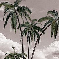 BCT to Present SOUTH PACIFIC, 3/13-29 Video