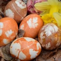 Easter Eggs, Swiss Style: A Gemperle Farms Tradition
