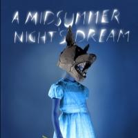 A MIDSUMMER NIGHT'S DREAM, Directed by Julie Taymor, Opens Tonight at Polonsky…