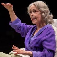 Photo Flash: First Look at Lookingglass Theatre Company's DEATH TAX, Now Playing Thro Video