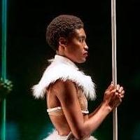 Photo Flash: SOUTH AFRICAN DANCE FESTIVAL October -November Video