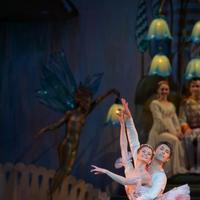 Photo Flash: First Look at Colorado Ballet's THE NUTCRACKER Video