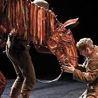 Photo Flash: WAR HORSE at the New London Theatre Video
